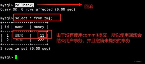 深入淺出MySQL數據庫管理 事務、存儲引擎與數據處理服務